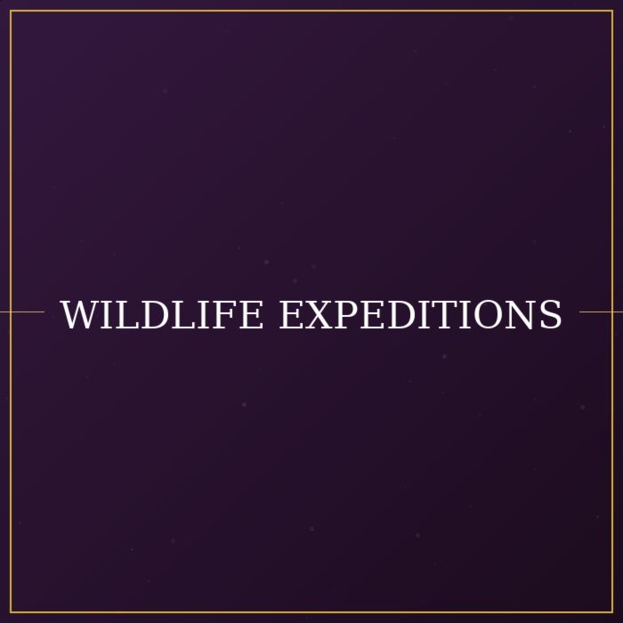 Wildlife Expeditions