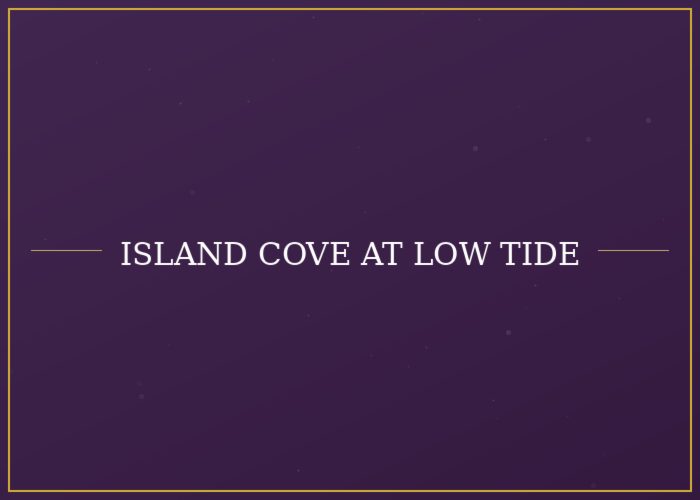 Island cove at low tide